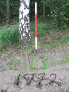 197b-n-g
