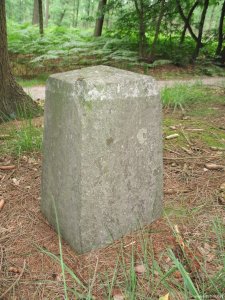 199b