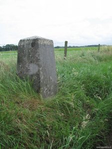 202e