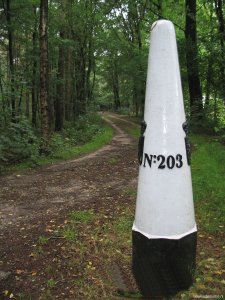 203