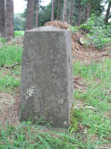 204g