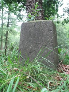 204i