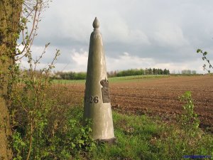 26