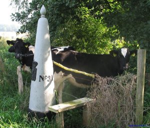 31-grenspaal-mesch-langs-beekje-de-voer