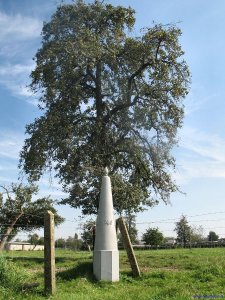 40-grenspaal-moelingen