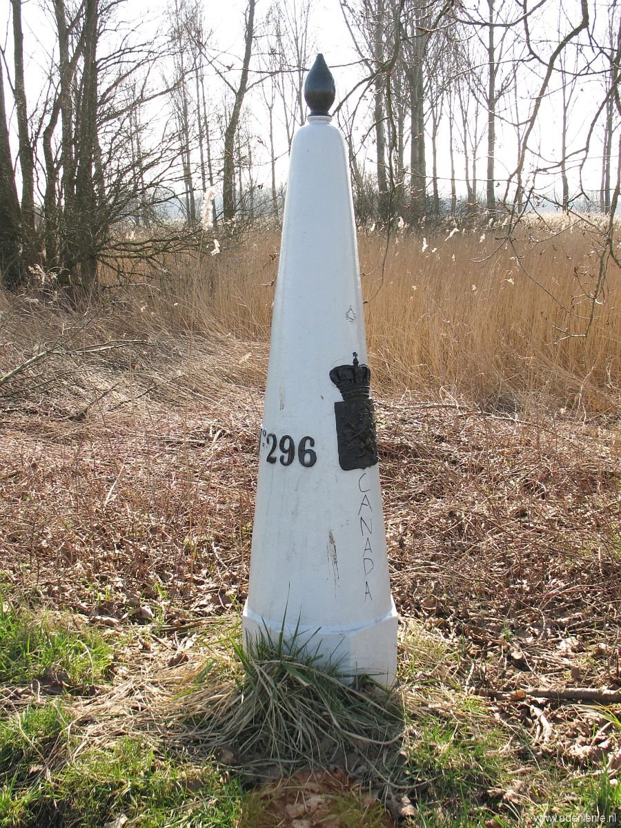 296