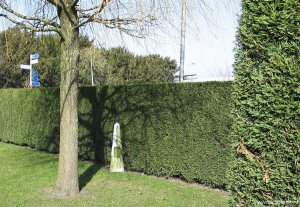 303-in-tuin