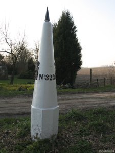 323