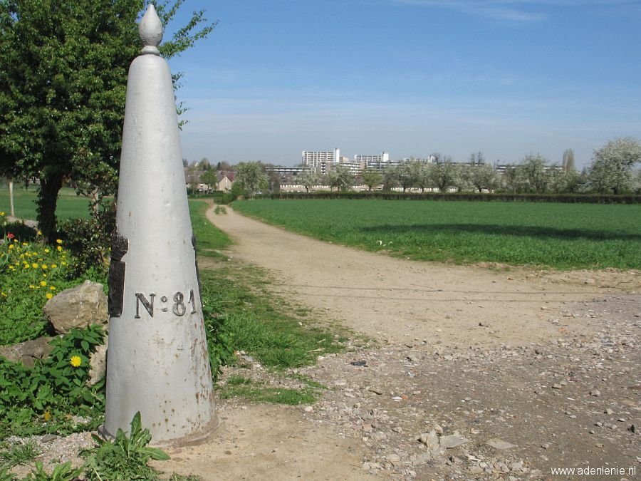 081