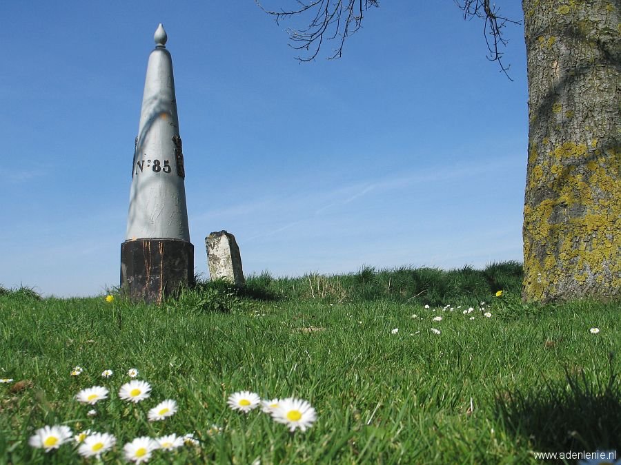 085-met-madeliefjes