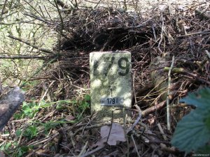 016-grenspalenwandeling-179-i-onder-begroeiing
