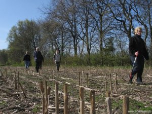 016-grenspalenwandeling-maisveld-wandelen