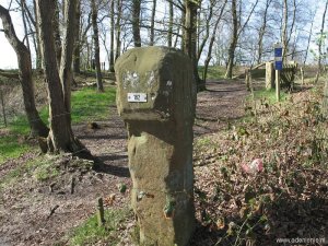 053 grenspalenwandeling-hamersteen-182