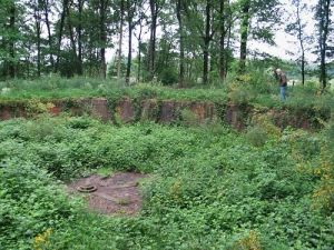 080-baarle-dag-rangeercirkel