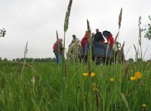 085-baarle-dag-laatste-object