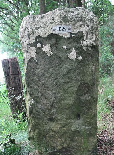 151