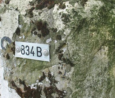 261