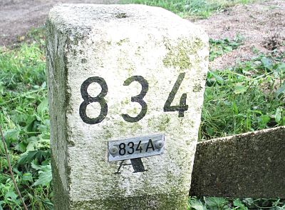 281