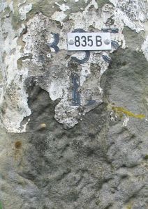 121