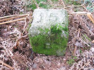 008-tussenpaaltje-15-8