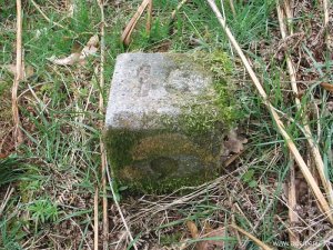 009-tussenpaaltje-15-9
