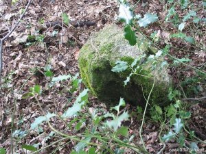 014-tussenpaaltje-15-14