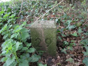 029-tussenpaaltje-15-29